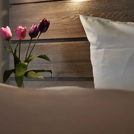 Hotel Tulip Messe 4*